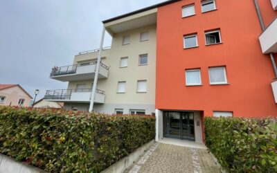 Achat immobilier en Moselle : les bonnes raisons d’investir dans le secteur